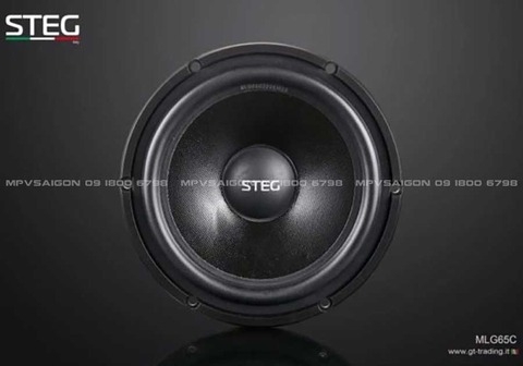 Loa cánh phân tần Steg MLG65C