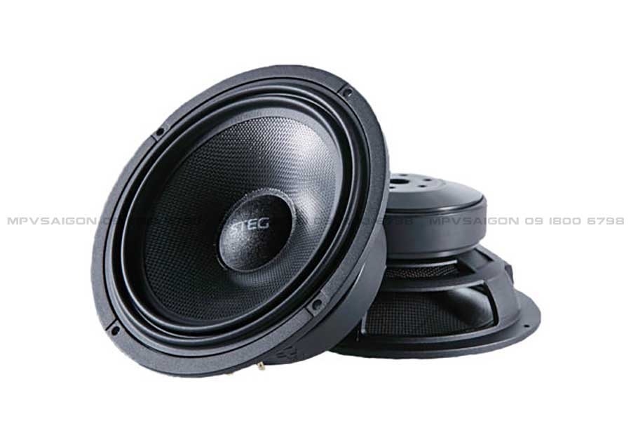 Loa phân tần - Loa Steg SG - 650C