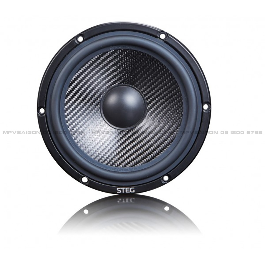 Loa Woofer Master Stroke MSS6