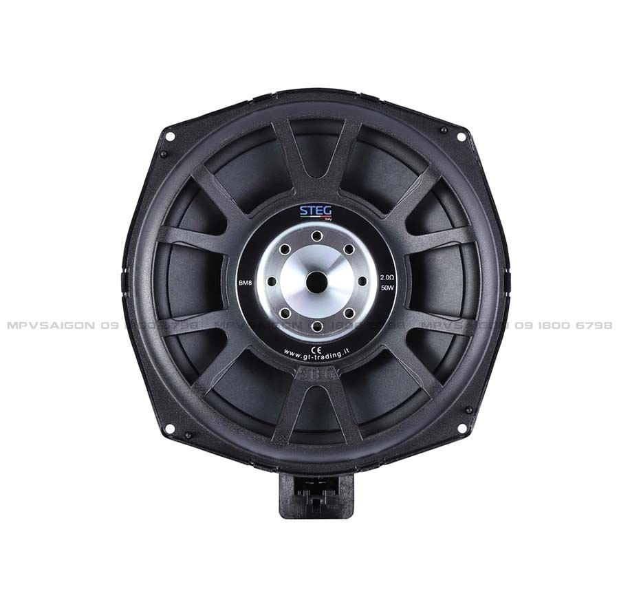 Loa sub STEG BM 8L_R