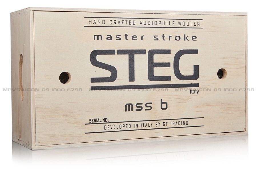 Loa Woofer Master Stroke MSS6