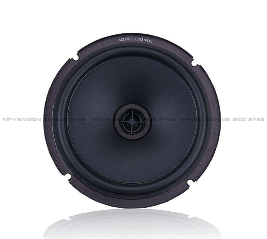 Loa cánh đồng trục STEG MS650