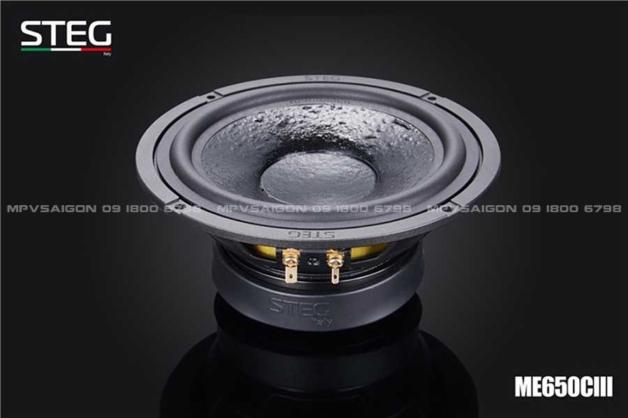 LOA CÁNH PHÂN TẦN - LOA STEG ME-650C III