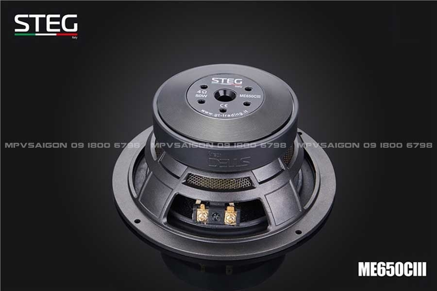 LOA CÁNH PHÂN TẦN - LOA STEG ME-650C III
