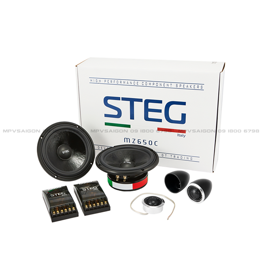 Loa cánh phân tần 2-way STEG MZ650C