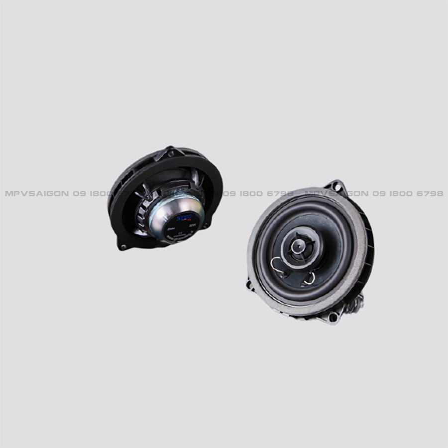 Loa cánh đồng trục STEG BM4