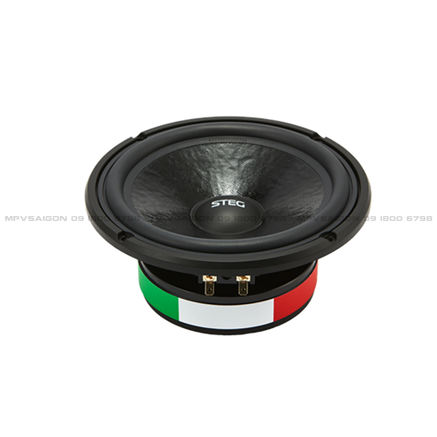 Loa cánh phân tần 2-way STEG MZ650C