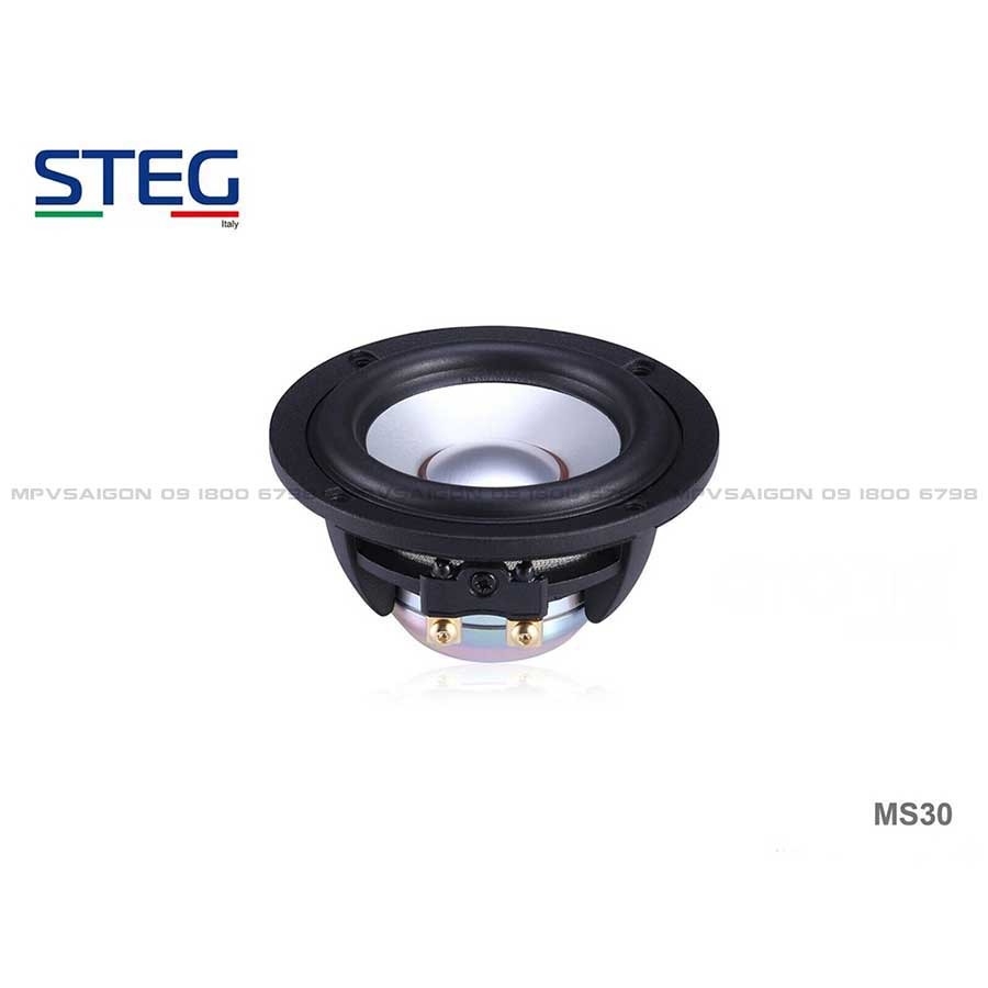 Skoda Kodiag phục hồi loa center vị trí lỗ chờ sẵn STEG MS-30 3”MIDRANGE