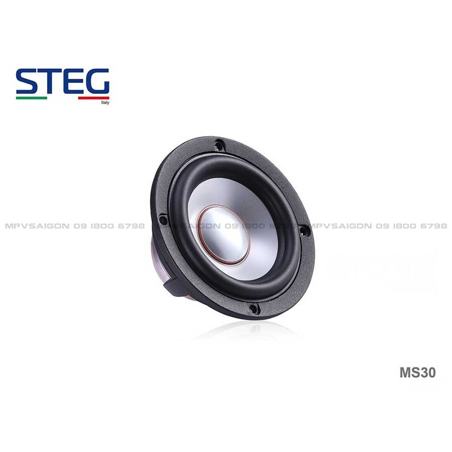 Skoda Kodiag phục hồi loa center vị trí lỗ chờ sẵn STEG MS-30 3”MIDRANGE