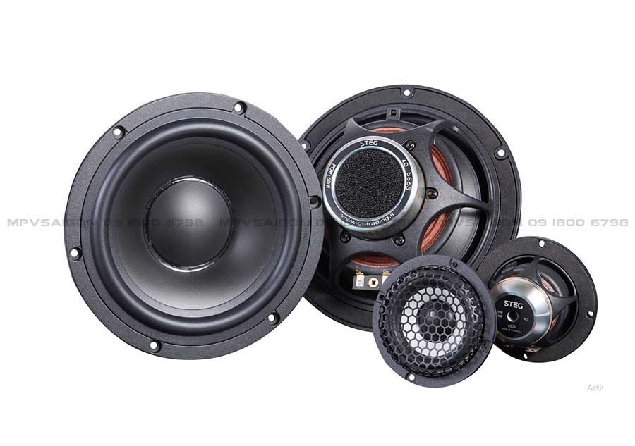 Loa Masterstroke STEG SS-652C