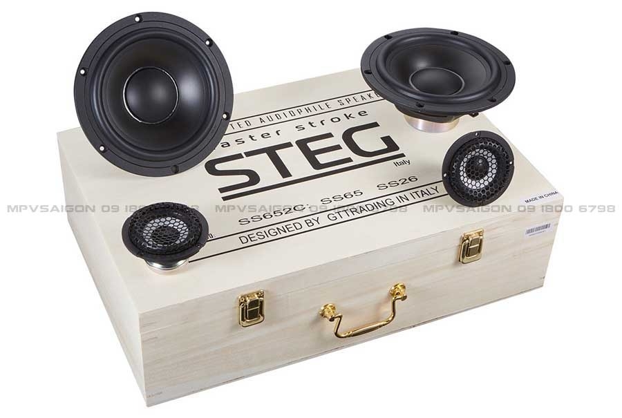 Loa Masterstroke STEG SS-652C