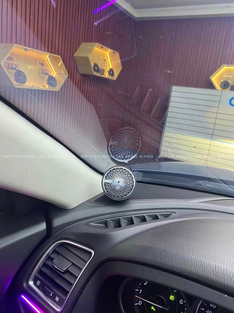 Loa Mid-Treb STEG SFF1