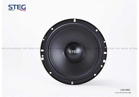 Loa cánh phân tần STEG LEO - 650C