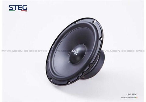 Loa cánh phân tần STEG LEO - 650C