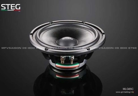 Loa cánh phân tần Steg MLG65C