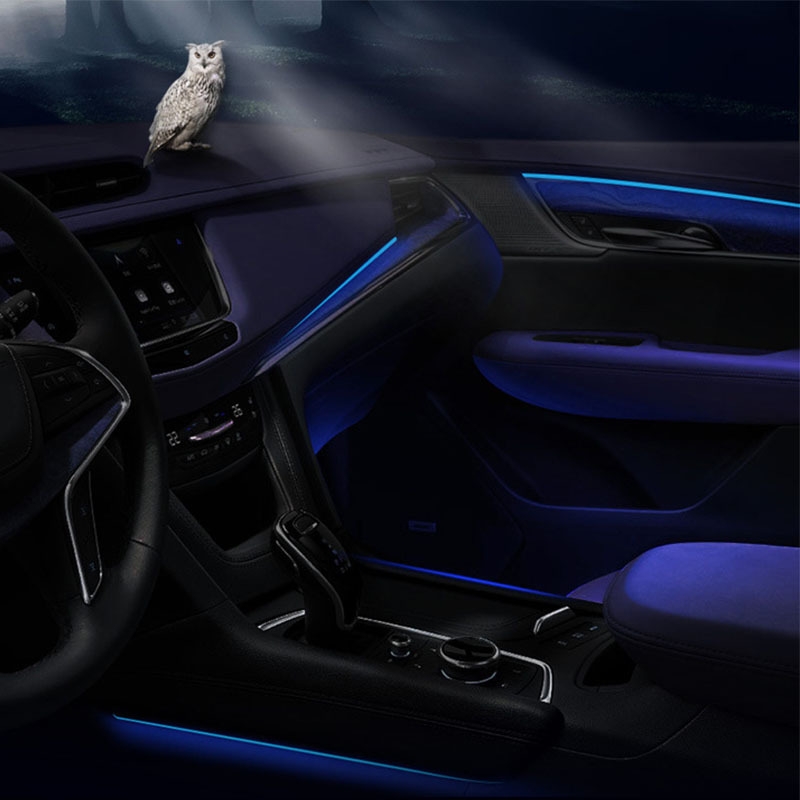 LED viền nội thất