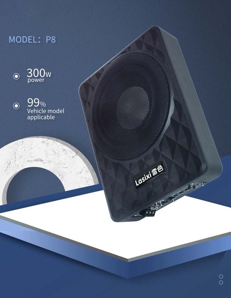 LOA SUB GẦM GHẾ LAS P8/ P10