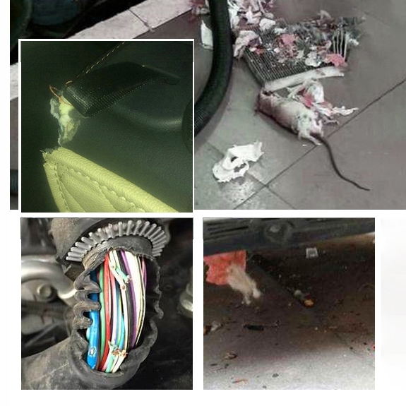 Lưới chắn côn trùng Hyundai Custin