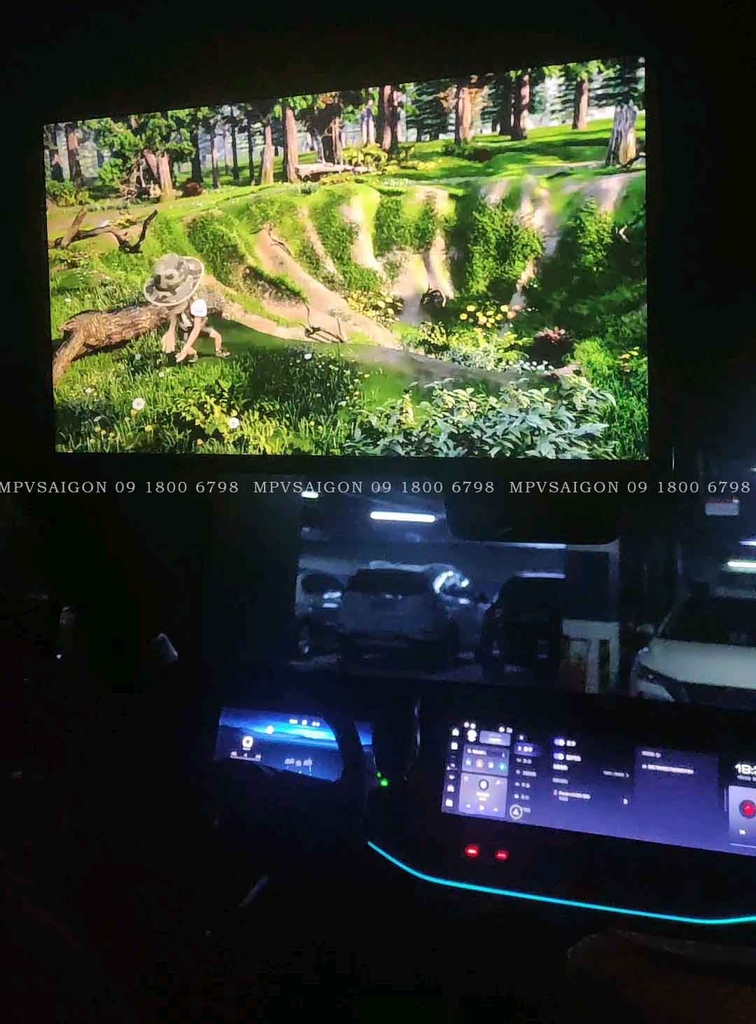 Màn hình trần Panorama cho xe cửa sổ trời toàn cảnh