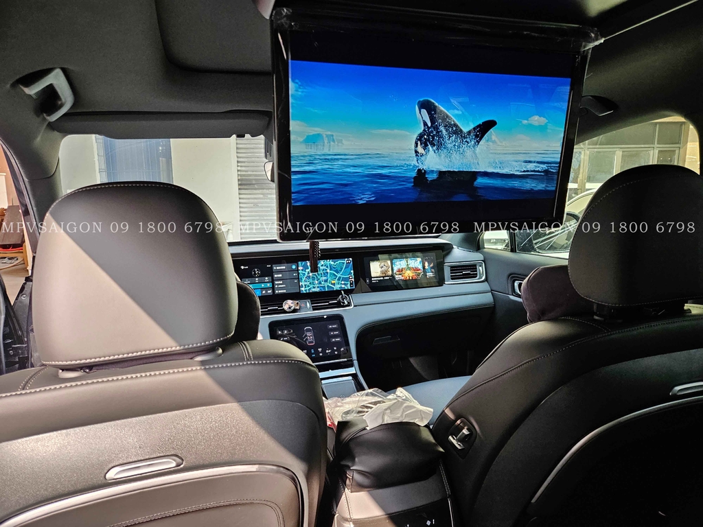 Màn hình trần Panorama cho xe cửa sổ trời toàn cảnh