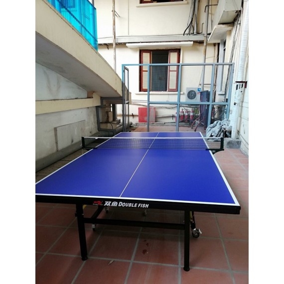 Double Fish 201 A Model 2016