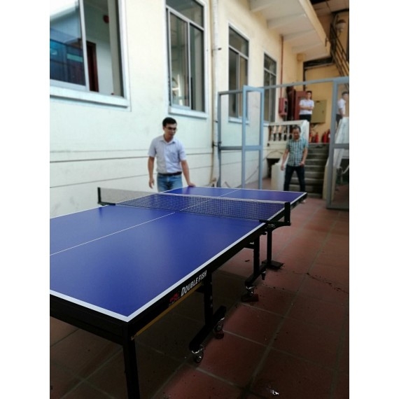 Double Fish 201 A Model 2016