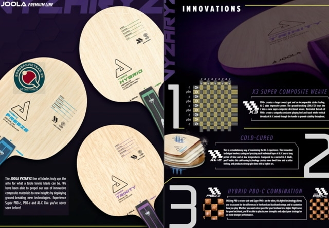 JOOLA VYZARYZ HYBRID