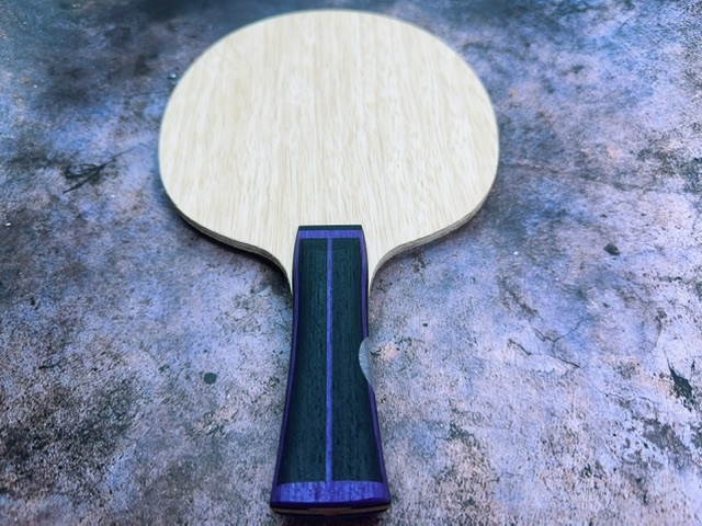 JOOLA VYZARYZ TRINITY