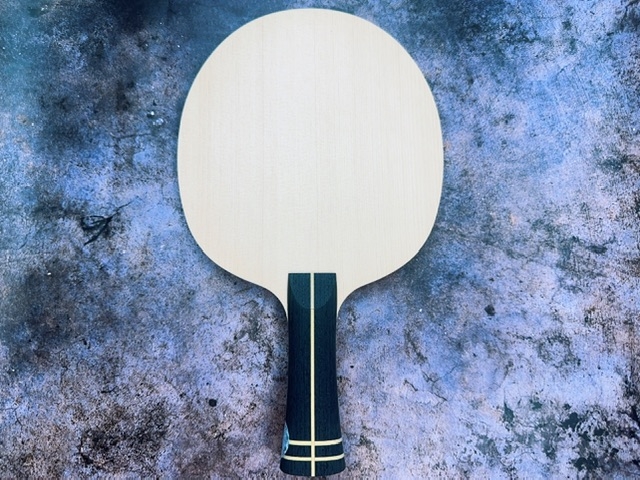 JOOLA VYZARYZ TRINITY