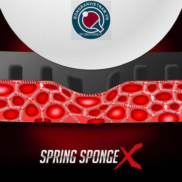 Butterfly Dignics 09C