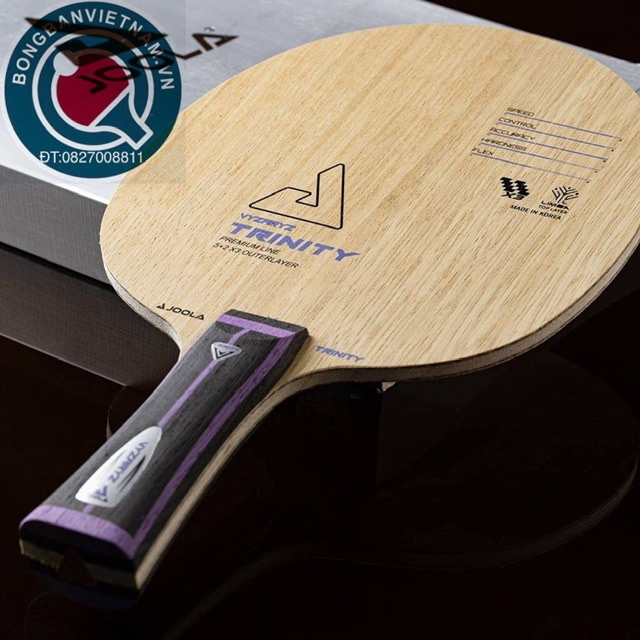 JOOLA VYZARYZ TRINITY