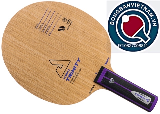 JOOLA VYZARYZ TRINITY