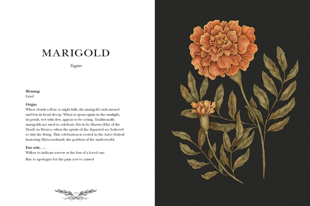 Floriography An Illustrated Guide to the Victorian Language of Flowers