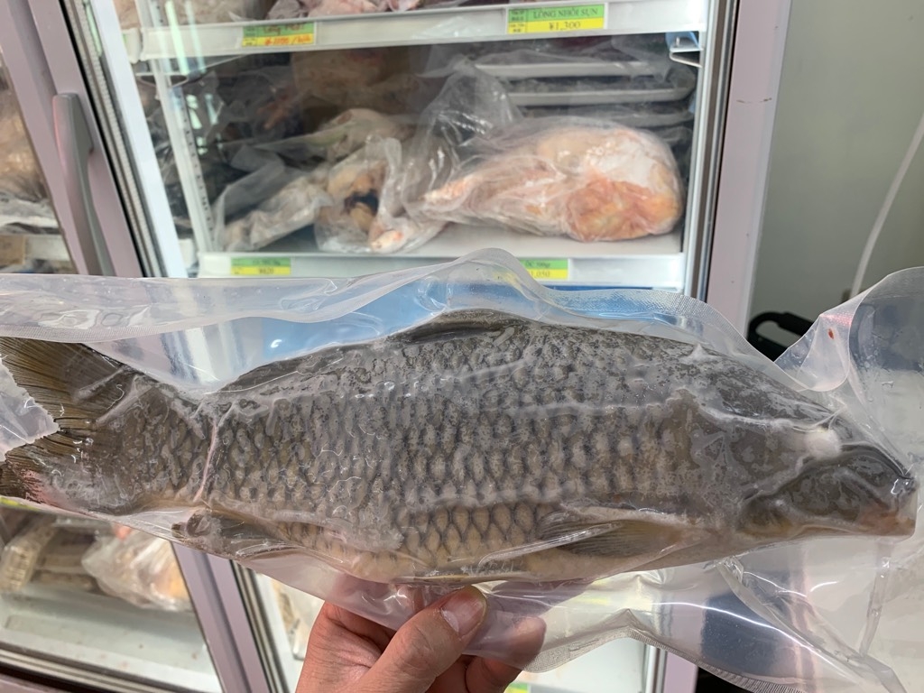 Cá Chép nguyên con ichiba