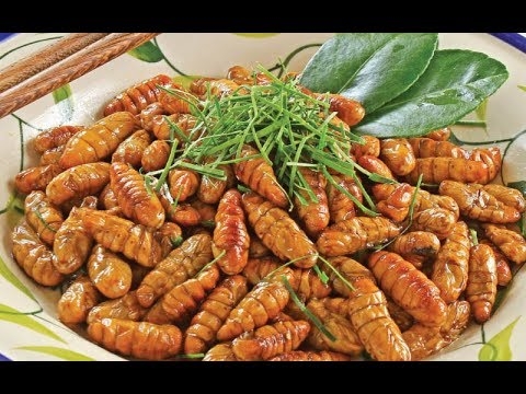 Nhộng tằm－冷凍蚕蛹 (500gr)