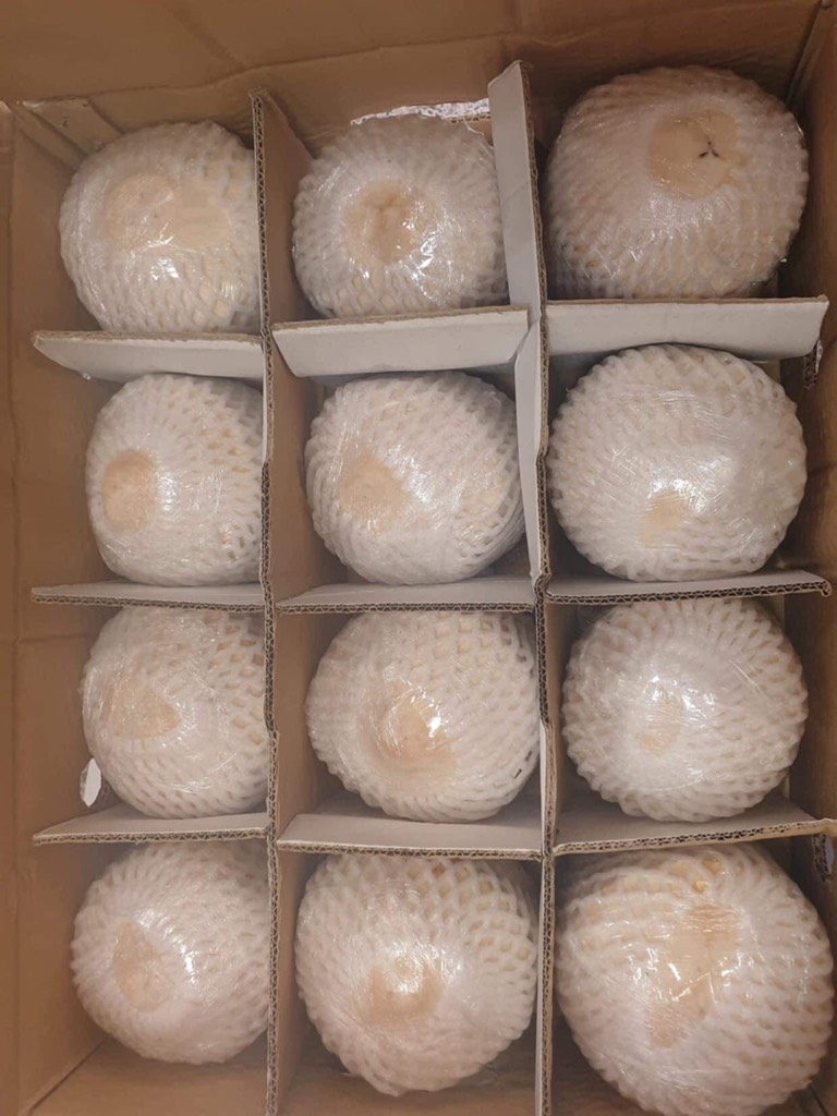 Quả dừa tươi xanh（ココナツ）