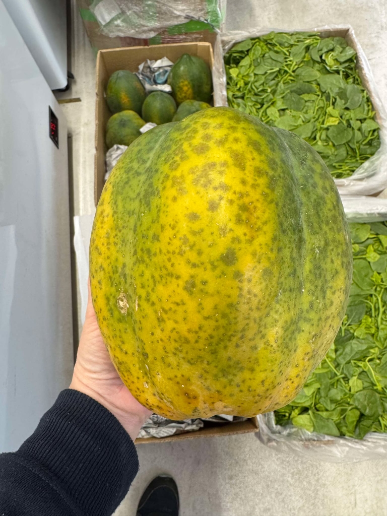 Đu Đủ xanh 青パパイヤGREEN PAPAYA