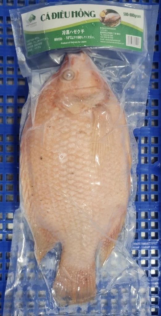 Cá Diêu Hồng冷凍レッドテイラピア (kg)
