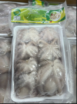 Bạch Tuộc Ichiba