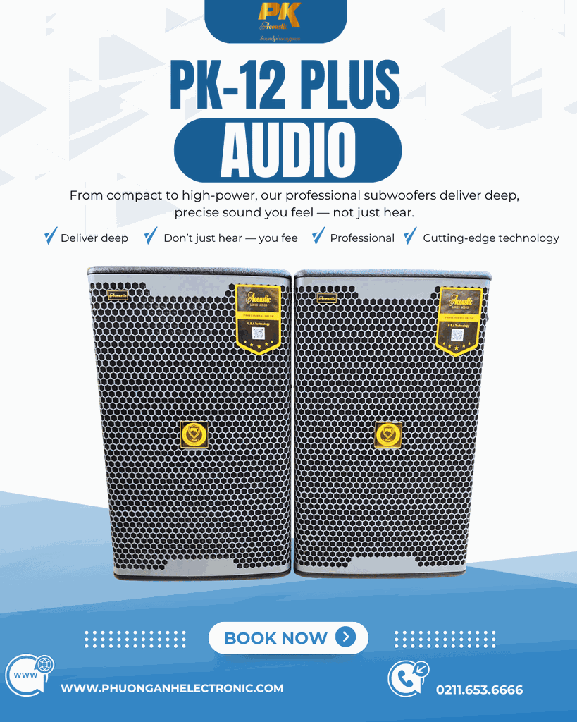 Loa full bass 30 Acoustic PK-12 Plus