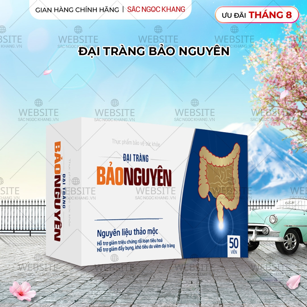 Viên uống Đại Tràng Bảo Nguyên (Hộp 50 viên)