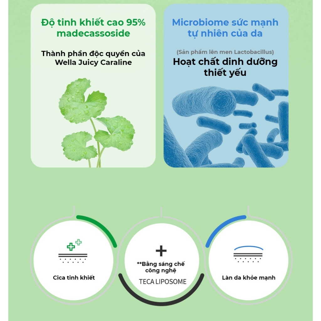 Tinh Chất Wellage Real CICA CALMING 95 Trouble Ampoule 50ml