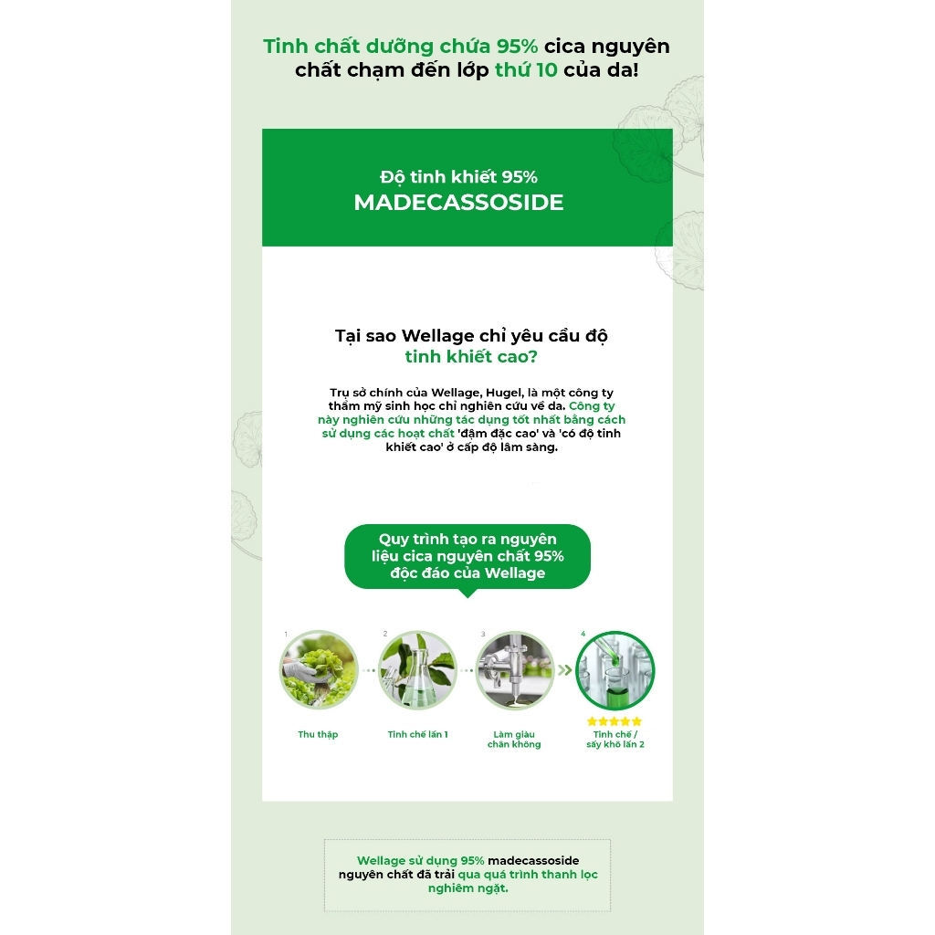 Tinh Chất Wellage Real CICA CALMING 95 Trouble Ampoule 50ml