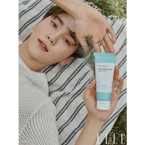 Kem dưỡng giảm mụn dịu da tràm trà Bring Green Tea Tree Cica Soothing Cream 100ml