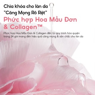 Mặt nạ ngủ Laneige Bouncy & Firm Sleeping Mask 60ml - tăng cường collagen, cấp ẩm dưỡng da căng bóng