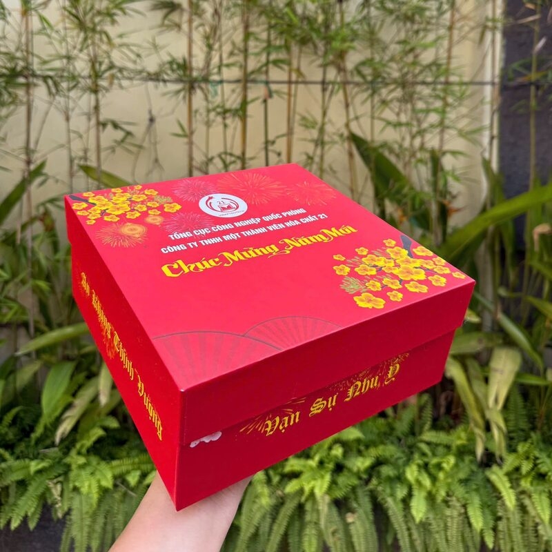 Giàn phun VIP 144 ống phóng 2025