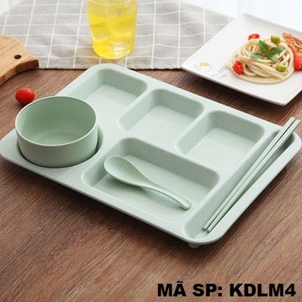 Khay đựng thức ăn KDLM
