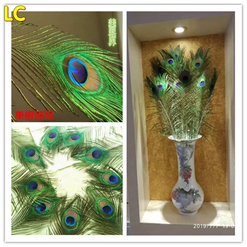 Lông công trang trí LC