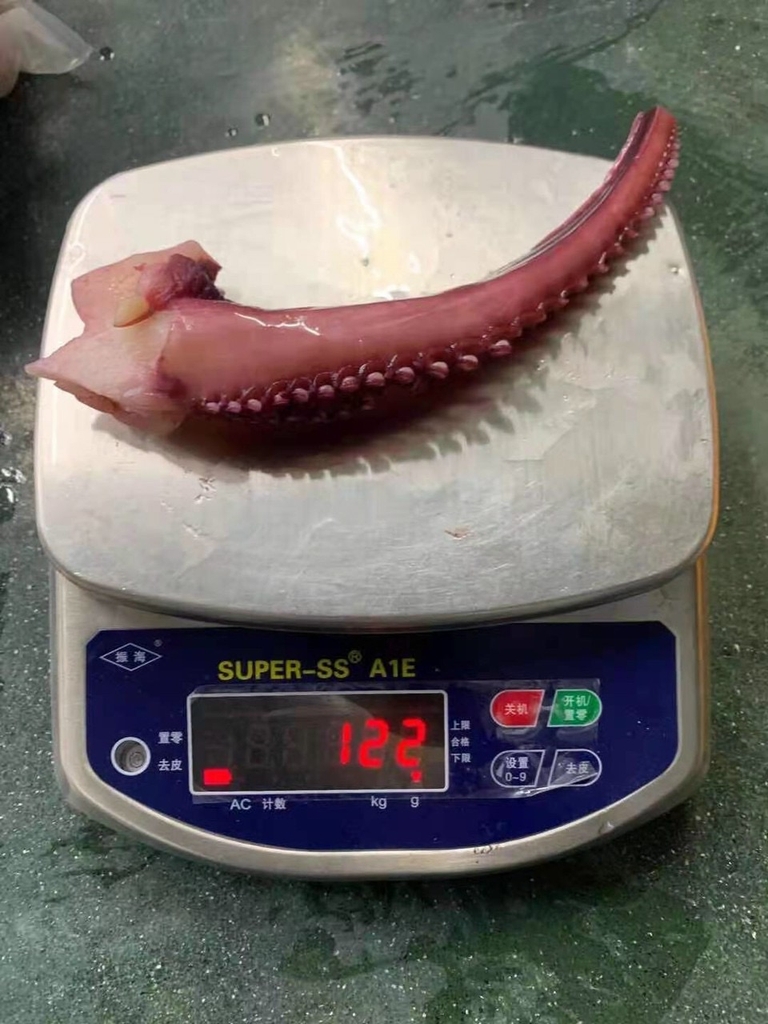 Râu tuộc túi 1 kg nét 650g ( 3-5 râu)