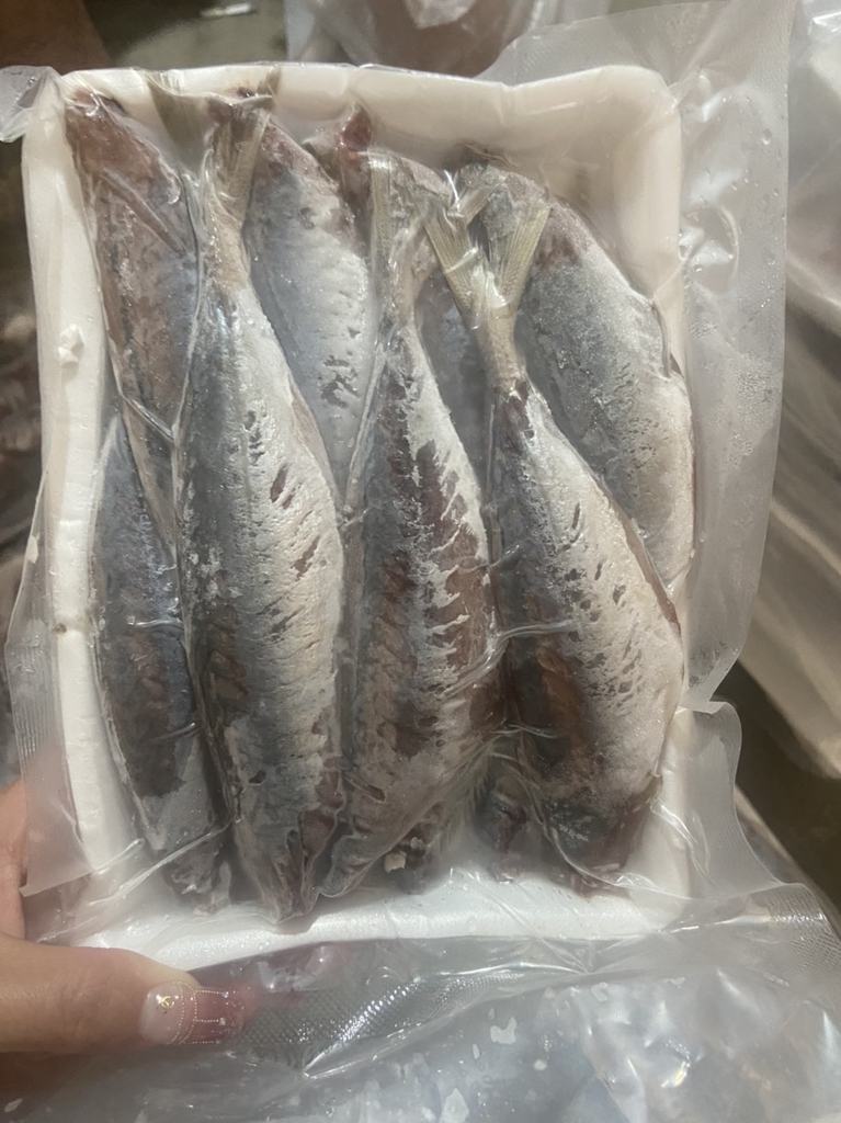 Cá nục 1 nắng loại nhỏ (25-30) khay 480g